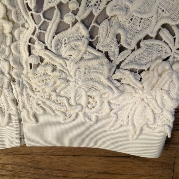 EUC Ellie Tahari Bennet Lace Skirt $398 Size 0 - Picture 10 of 14